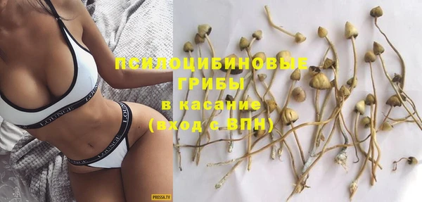 бошки Лиски