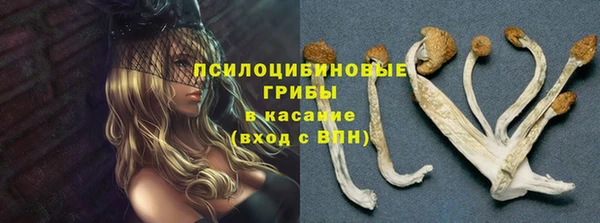 прущие грибы Майский
