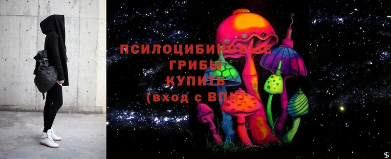 MEGA tor  купить  сайты  Нестеров  Галлюциногенные грибы MAGIC MUSHROOMS 